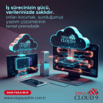 Vega Cloud9